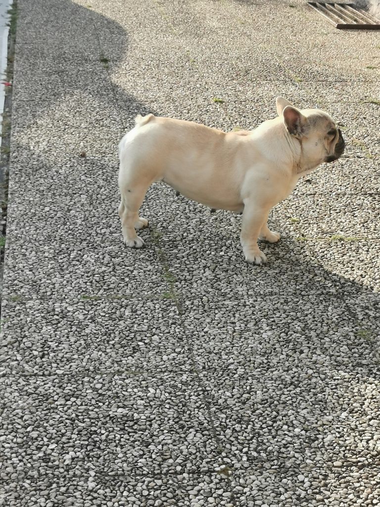 Margo (Sans Affixe)